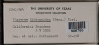 Image Associated With the Occurence